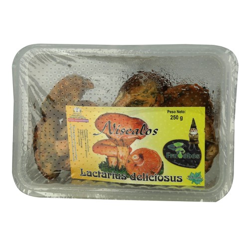 Níscalo bandeja 250 g.