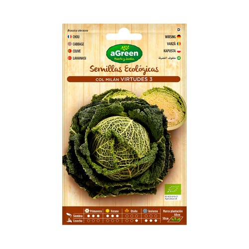 Semillas para sembrar coles de la variedad Milán virtudes HA-HUERTO Y JARDÍN 1 gramos.