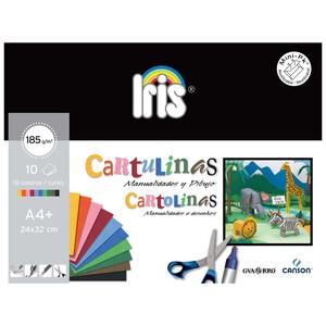 Imagen de Bloc de manualidades de 10 cartulinas de colores, con medidas 32 x 24cm y densidad 185g/m² CANSON.