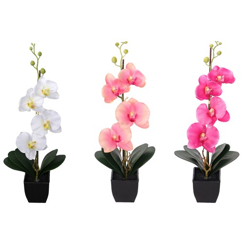 Orquídea maceta, salmón, rosa, blanco, de 37cm, ACTUEL.