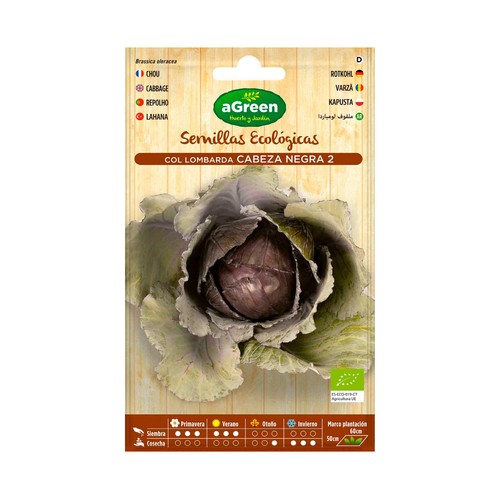 Semilla ecológica de col lombarda, SEMILLAS.