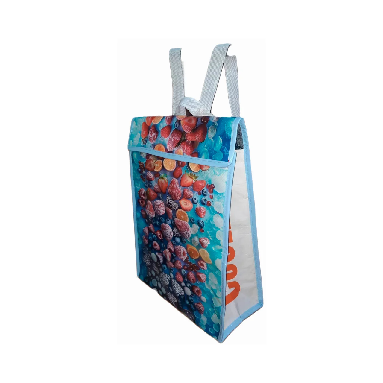 PRODUCTOS CONGELADOS Bolsa/mochila térmica