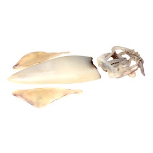 Imagen de Calamar grande origen Sudáfrica - Entero limpio