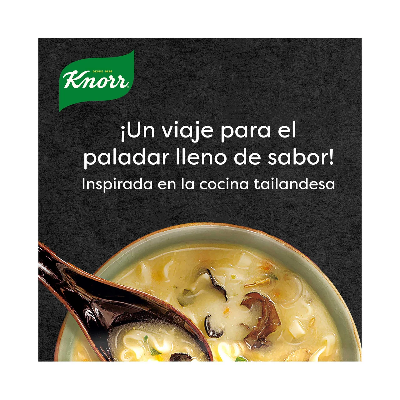 Las Exoticas Sopa Thai con fideos, setas y coco 69 g.