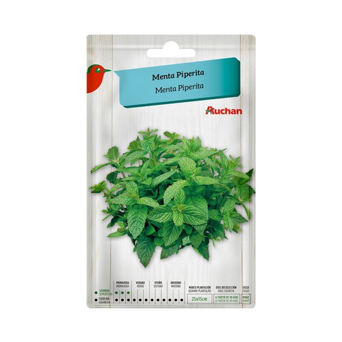 Sobre de semillas para plantar menta de la variedad Piperita PRODUCTO ALCAMPO.