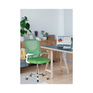 Imagen de Silla de escritorio con malla regulable y brazo ajustable, color verde, CAMILLO RIGAMONTI