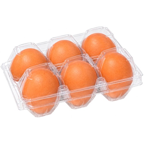 GRANJAS VILLARREAL Huevos de gallinas en jaulas acondicionadas de Madrid clase XL 6 uds.