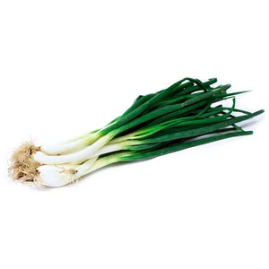 Calçots manojo de 25 uds.