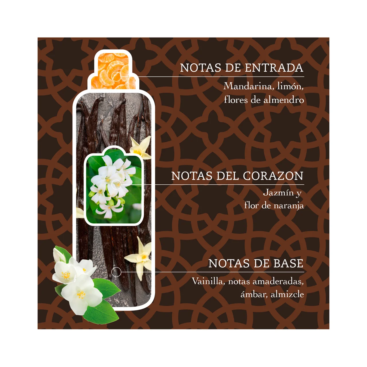 Hamman Suavizante concentrado con perfume de larga duración 42 lavados, 750 ml.