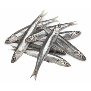 Boquerón mostrador de lonja local