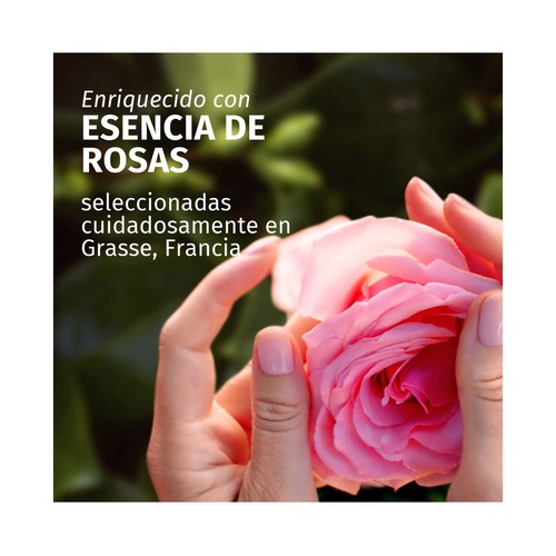 HERBAL ESSENCES Champú suavizante e hidratante con aroma a rosas, para cabellos secos 350 ml.
