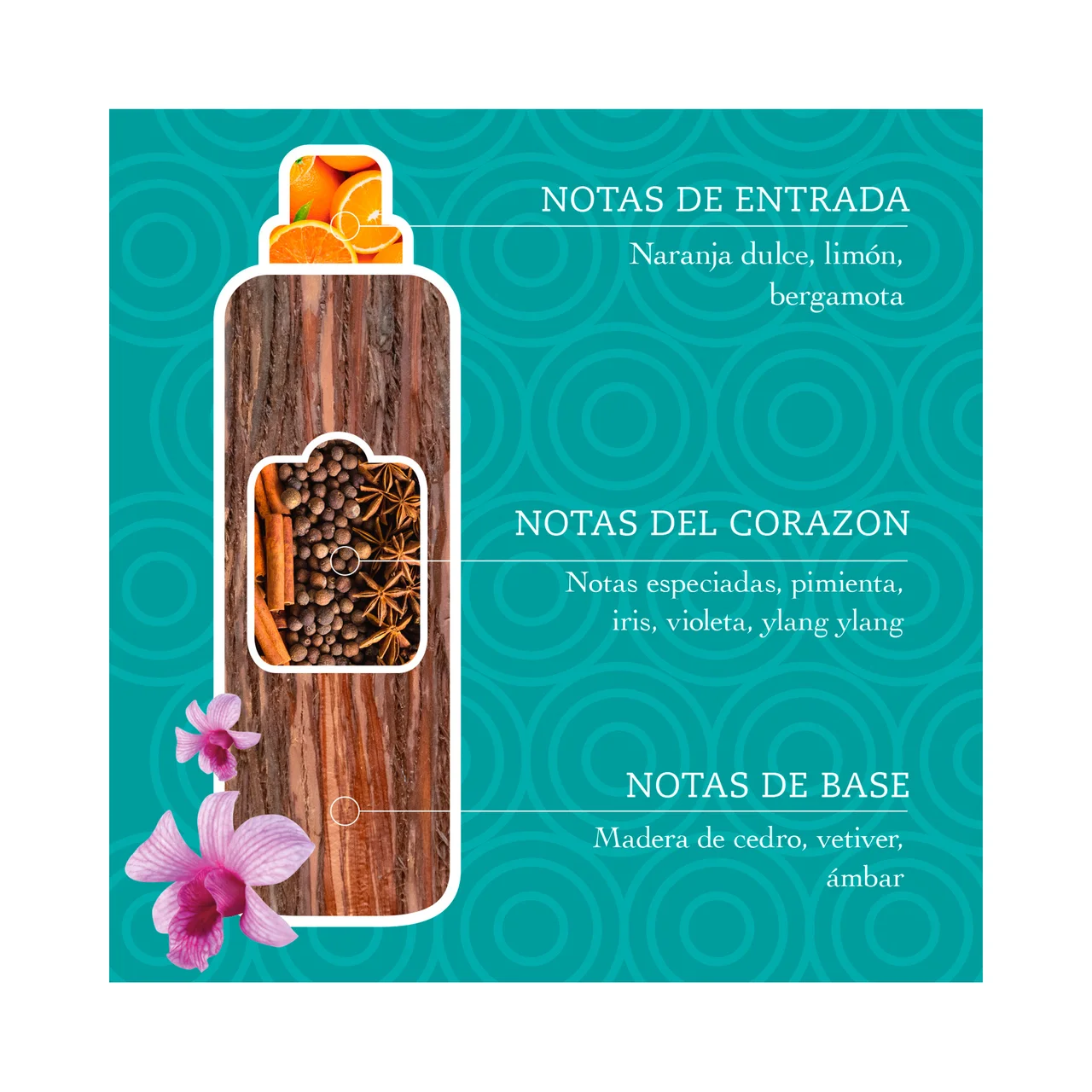 TESORI D'ORIENTE Suavizante ayurveda 42ds 750ml